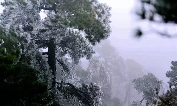 无塔供水设备选择哪个楼层最为合适?为何你家水龙头水压时大时小